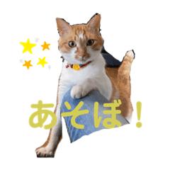 Risa_20200823192742