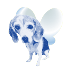 fairy beagle