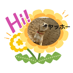 chibi_20200823202930