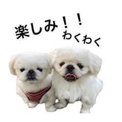 mizuki_20200823220435