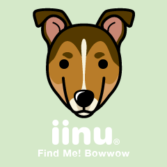 iinu - Smooth Collie