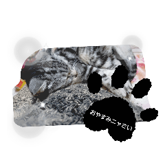 arisa_20200824000005