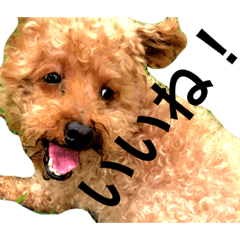 hiyori_20200824004252