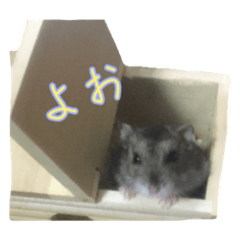 Kaho_20200824092731