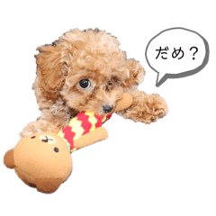 vivi_20200823215208