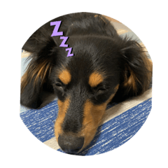 SATOSHI_20200823200724