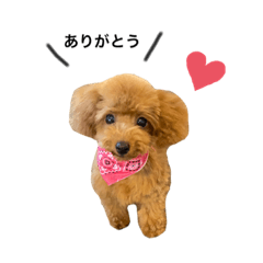 Cherry_20200824025315