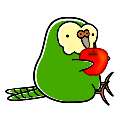 KAKAPO & Parakeet