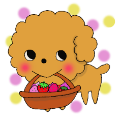 My toy poodle RAMUchan2 annual events