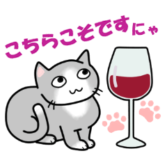ワインと猫たち
