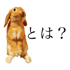 耳たれウサギのムーさん 2 Line スタンプ Line Store