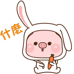 肉肉猪 5 (CN)