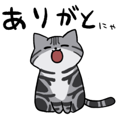 American shorthair sticker:3