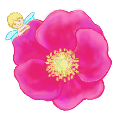 Encouraging and Healing with Flowers 2