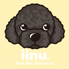 iinu - Portuguese Water Dog