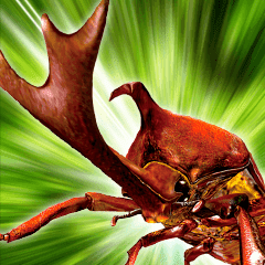 ムシキング Line スタンプ Line Store