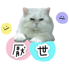 彭咪咪