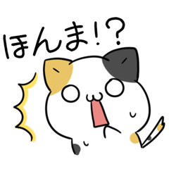 Kansai dialect Calico cat & Panda2