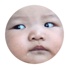 愷愷寶包