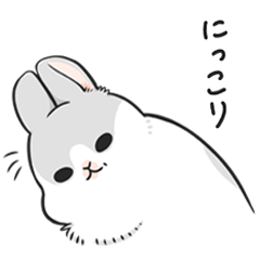 machiko rabbit3(Japanese)