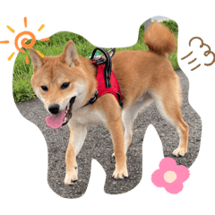 YAMADA_20200824163737