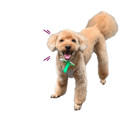 Mizuki_20200824195624