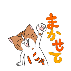 kaho_20200824201028