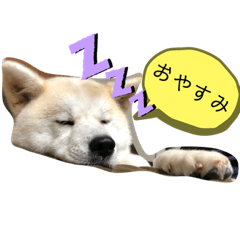 akiko_20200825013408