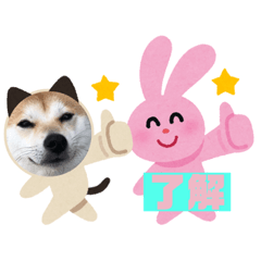 sumire_20200825074930