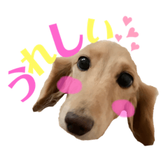 kaho_20200824215945