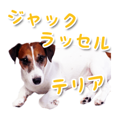 Jack russel terrier stamp