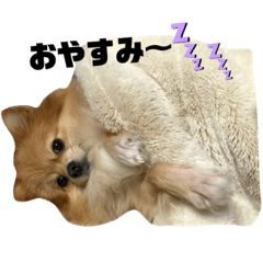 RIHO_20200824213811