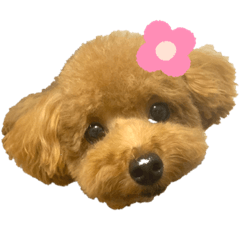 haruna_20200824222850