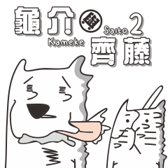 Kameke & Saito 2