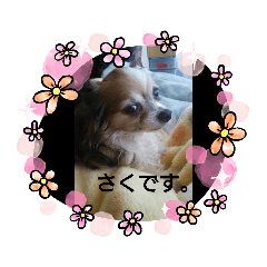 chibi_20200825113228
