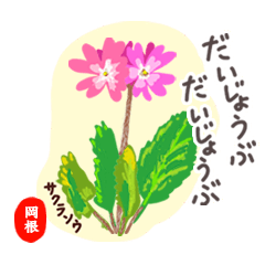 【岡根】オトナの花敬語