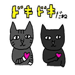Sock cat and black cat