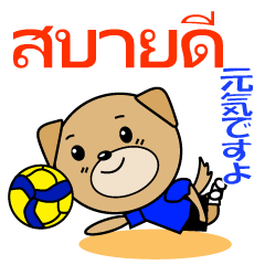 Thai volleyball dog