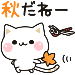 Cat to concern (anime & Autumn)
