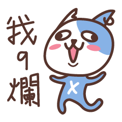 Xbocat Daily