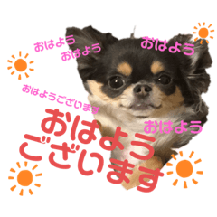 Mina_20200825145947
