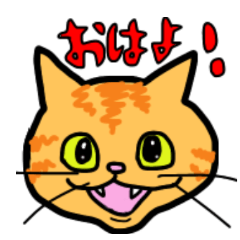 neko chapio2