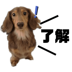 Mizuki_20200825144319