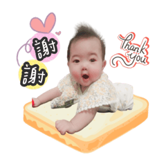 子晅&饅頭的日常