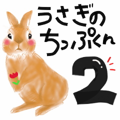 Rabbit of chip -kun2