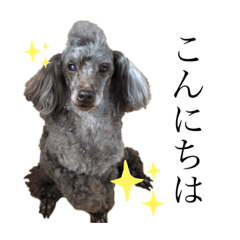 Mizuki_20200825160118