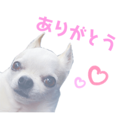 Yuina_20200825160704