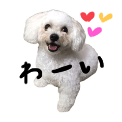 Yuka_20200825161144 - Stiker LINE | LINE STORE