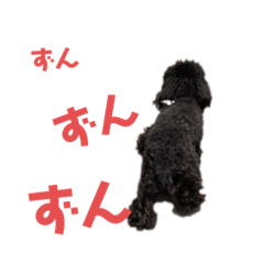 takashi_20200825175201