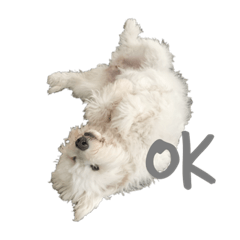 Nozomi_20200824104406